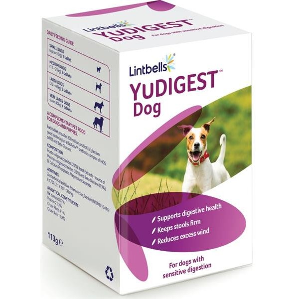 Lintbells YuDIGEST 120 žvýkacích tablet