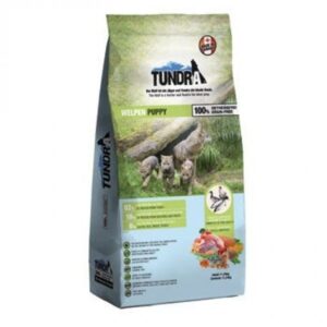 Tundra Puppy 11