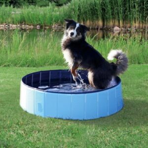 Bazén pro psy 120 x 30 cm světle modrá/modrá
