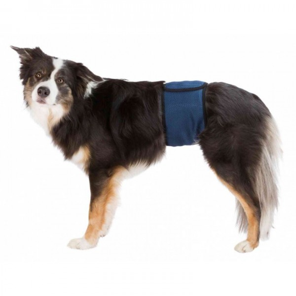 Inkontinenční pás pro psa L 55-65 cm tmavě modrý