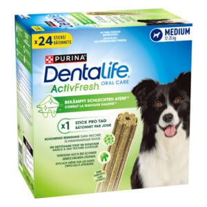 Dentalife Activfresh Medium pamlsky - 48 kusů